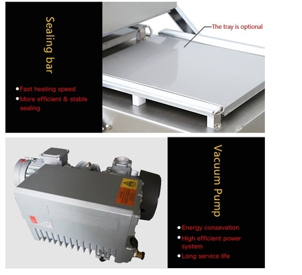 Double Chambers Vacuum Packaging Machine for Meat DZ-820/2SA from Professional Packing