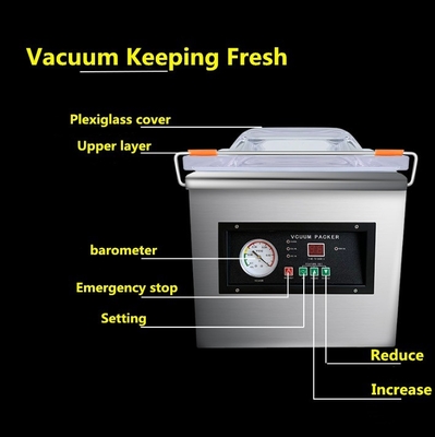 DZ260 Vacuum Sealing Machine for Fresh Meat Fish Vegetable Food 370W Motor Power 27 KG