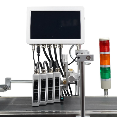 10 Inch Touch Screen Online Carton Coder Expiration Date Batch Code Printer with Coding