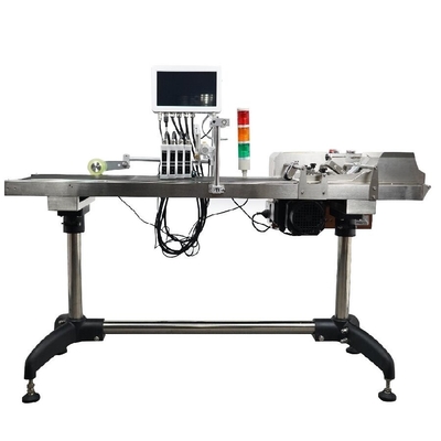 10 Inch Touch Screen Online Carton Coder Expiration Date Batch Code Printer with Coding