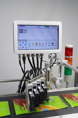 10 Inch Touch Screen Online Carton Coder Expiration Date Batch Code Printer with Coding