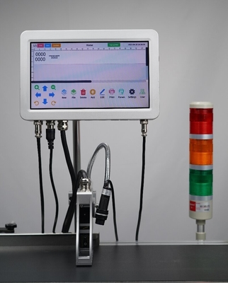 10 Inch Touch Screen Online Carton Coder Expiration Date Batch Code Printer with Coding